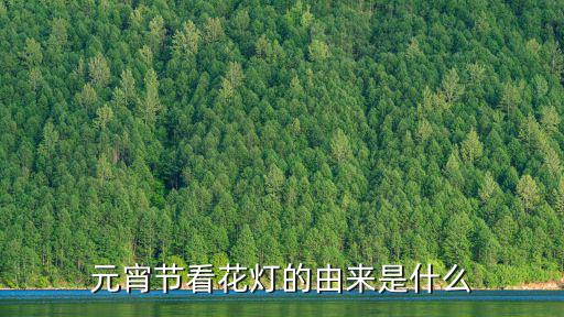 看花燈,元宵節看花燈
