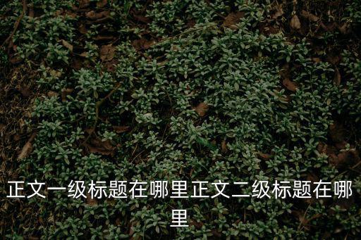 正文一級標題在哪里正文二級標題在哪里