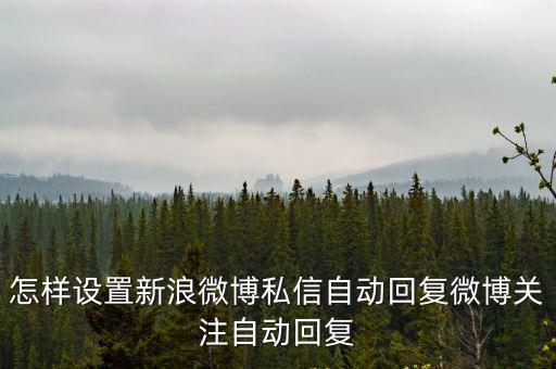 怎樣設置新浪微博私信自動回復微博關(guān)注自動回復
