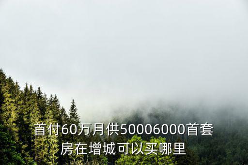 首付60萬月供50006000首套房在增城可以買哪里