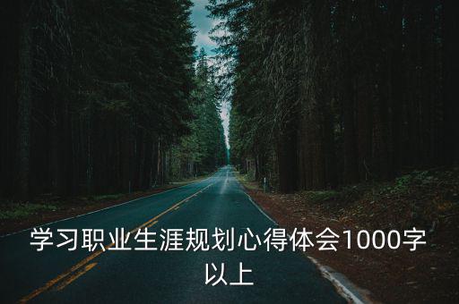 學習職業生涯規劃心得體會1000字以上