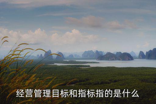 經營管理目標和指標指的是什么