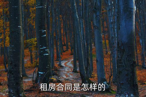 房子租房合同,3、住房用途說明