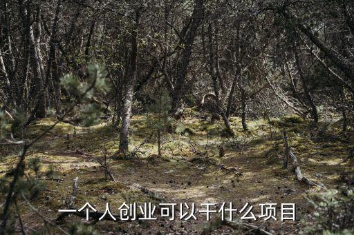 個人創(chuàng)業(yè),教育行業(yè)加盟項目有哪些選擇?