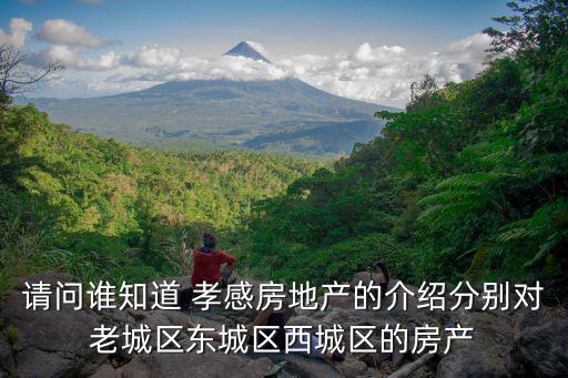 請問誰知道 孝感房地產的介紹分別對老城區東城區西城區的房產