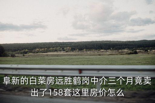 阜新的白菜房遠勝鶴崗中介三個月竟賣出了158套這里房價怎么
