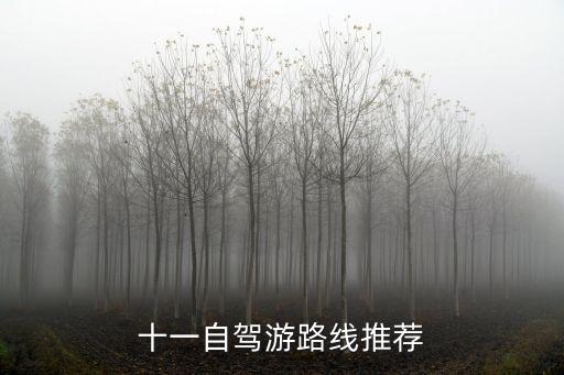 十一自駕游路線推薦