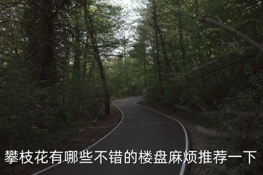 攀枝花房價哪個樓盤好些，攀枝花有哪些不錯的樓盤麻煩推薦一下