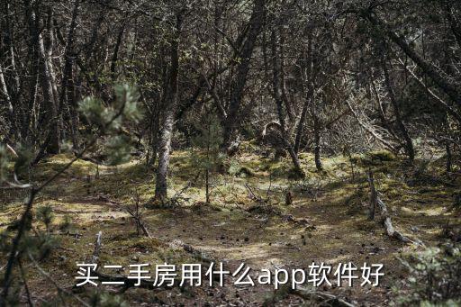 買二手房用什么app軟件好
