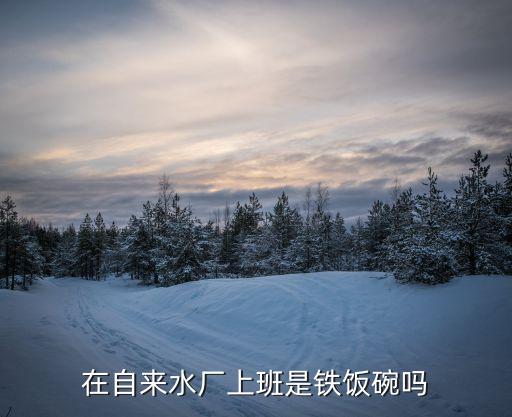 自來水廠,自來水水質問題的來源與歐美不相上下