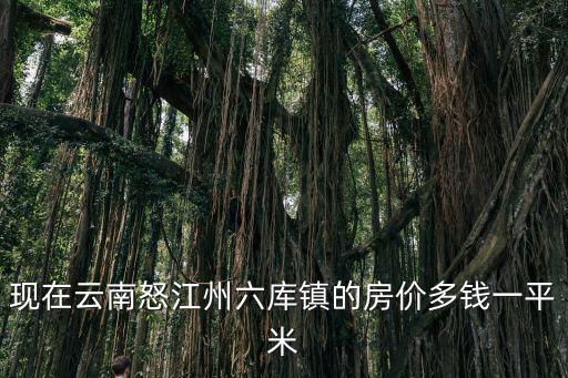 現在云南怒江州六庫鎮的房價多錢一平米