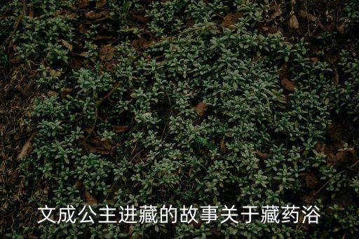 文成公主進(jìn)藏的故事關(guān)于藏藥浴