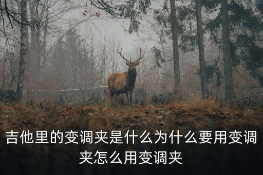 變調(diào)夾怎么用,吉他變調(diào)夾怎么用?注意事項1.1）