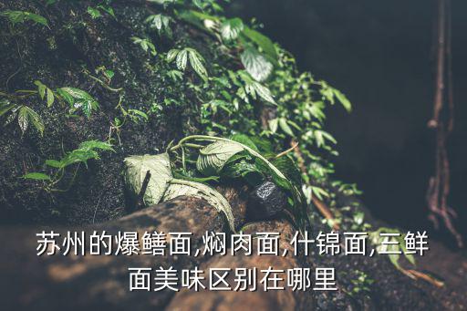 爆鱔面,蘇州四大名面館之一的燜肉面入口即化