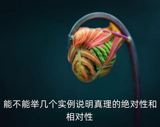 真理的絕對(duì)性是指,真理的絕對(duì)性指它具有無(wú)條件性、無(wú)限性