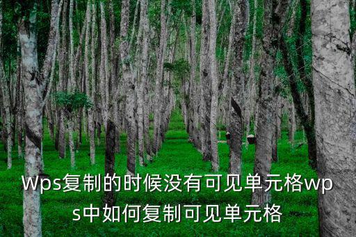 復制可見單元格,怎么復制和粘貼可見單元格數據?