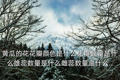 黃瓜花,黃瓜花是什么花?