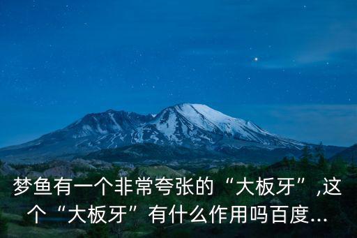 夢魚有一個非常夸張的“大板牙”,這個“大板牙”有什么作用嗎百度...