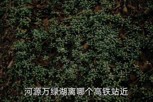 河源高鐵站,源深高鐵在河源境內(nèi)設站四座