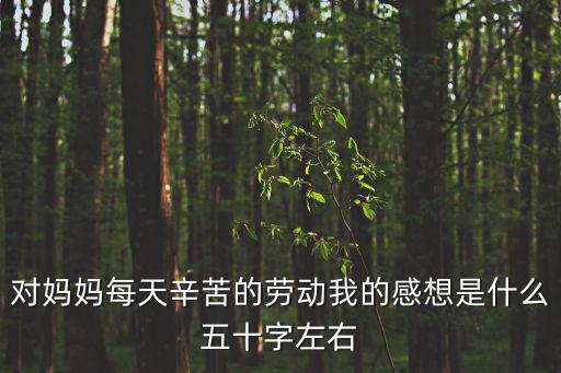 對媽媽每天辛苦的勞動我的感想是什么五十字左右