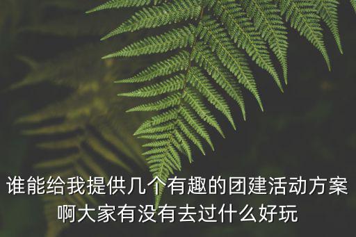 誰能給我提供幾個有趣的團建活動方案啊大家有沒有去過什么好玩