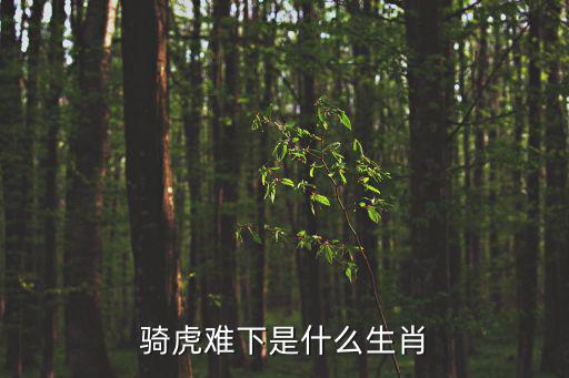騎虎難下是什么生肖
