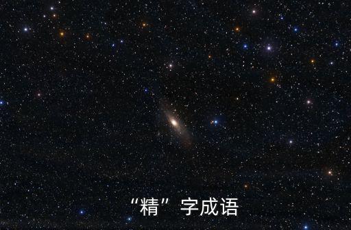 精的成語,精打細算:精益求精金石玉比喻精明強干