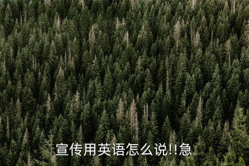 宣傳用英語怎么說!!急