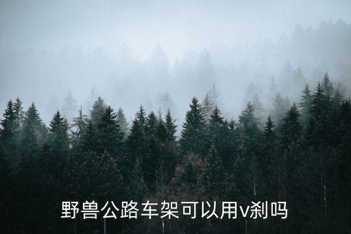 野獸公路車架可以用v剎嗎