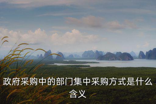 政府采購(gòu)中的部門集中采購(gòu)方式是什么含義