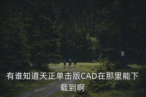 有誰知道天正單擊版CAD在那里能下載到啊