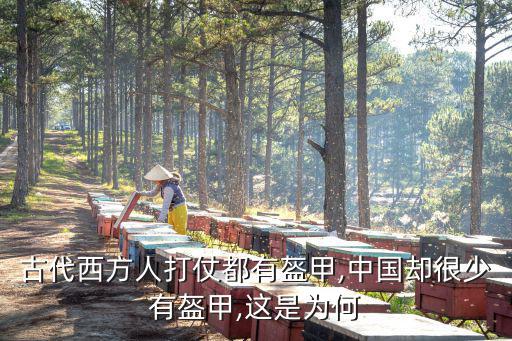 古代盔甲,關于古代盔甲，你最好想好再問關于盔甲的種類