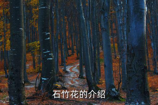 石竹花的介紹