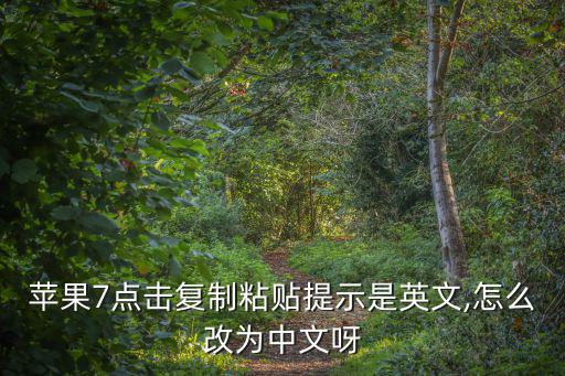 蘋果7點擊復制粘貼提示是英文,怎么改為中文呀