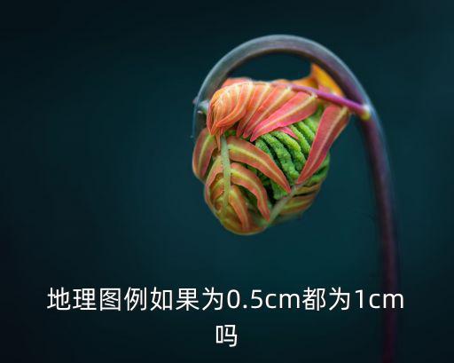 地理圖例如果為0.5cm都為1cm嗎