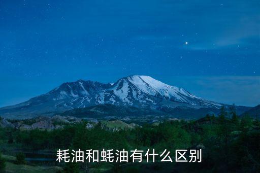 蠔油是什么油,蠔油和豉油有什么不同?