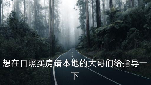 想在日照買房請本地的大哥們給指導一下