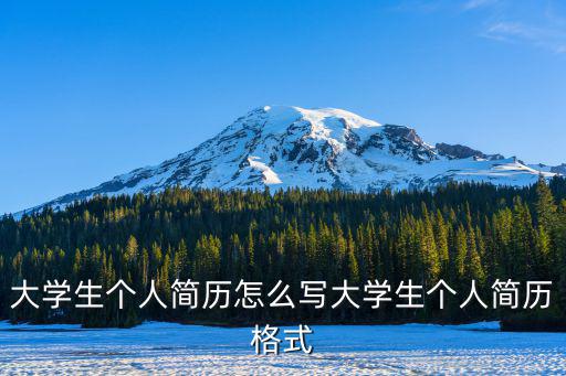 大學生個人簡歷怎么寫大學生個人簡歷格式