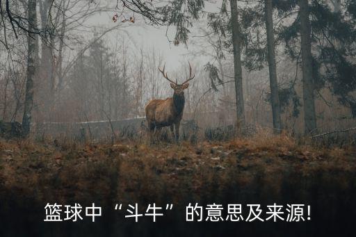 籃球中“斗牛”的意思及來源!