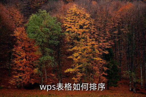 wps表格如何排序