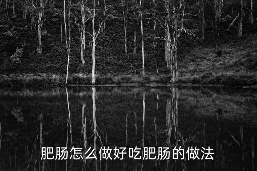 肥腸怎么做好吃,肥腸怎么做好吃?