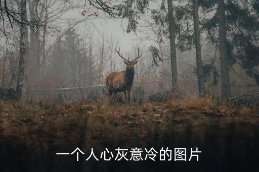 一個(gè)人心灰意冷的圖片