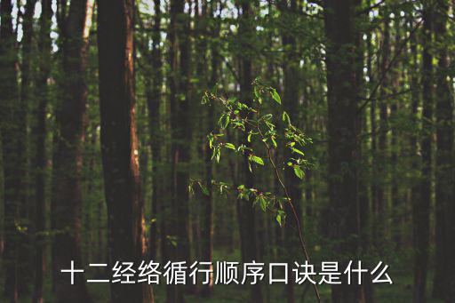 十二經絡歌訣,十二經絡循行順序口訣:手太陰肺經手少陰心經