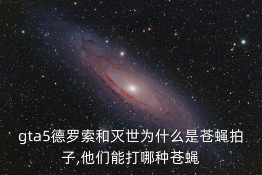 gta5德羅索和滅世為什么是蒼蠅拍子,他們能打哪種蒼蠅