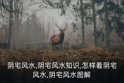 陰宅風水,陰宅風水知識,怎樣看陰宅風水,陰宅風水圖解