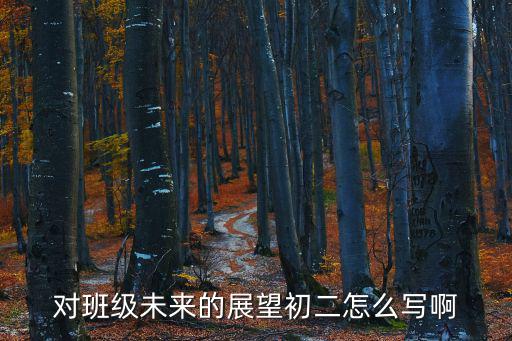 對班級未來的展望初二怎么寫啊