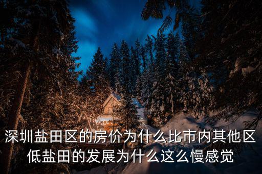 深圳鹽田區的房價為什么比市內其他區低鹽田的發展為什么這么慢感覺