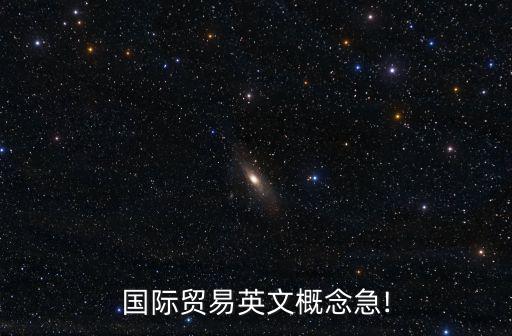 國際貿易英文概念急!