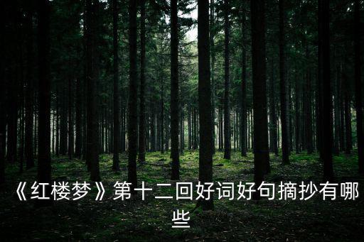 紅樓夢摘抄,第十二回好詞好句摘抄有哪些