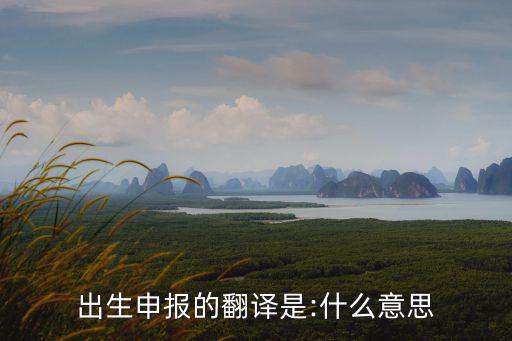 出生的英文,出生在布魯克林的弗拉特布什一帶的孩子們